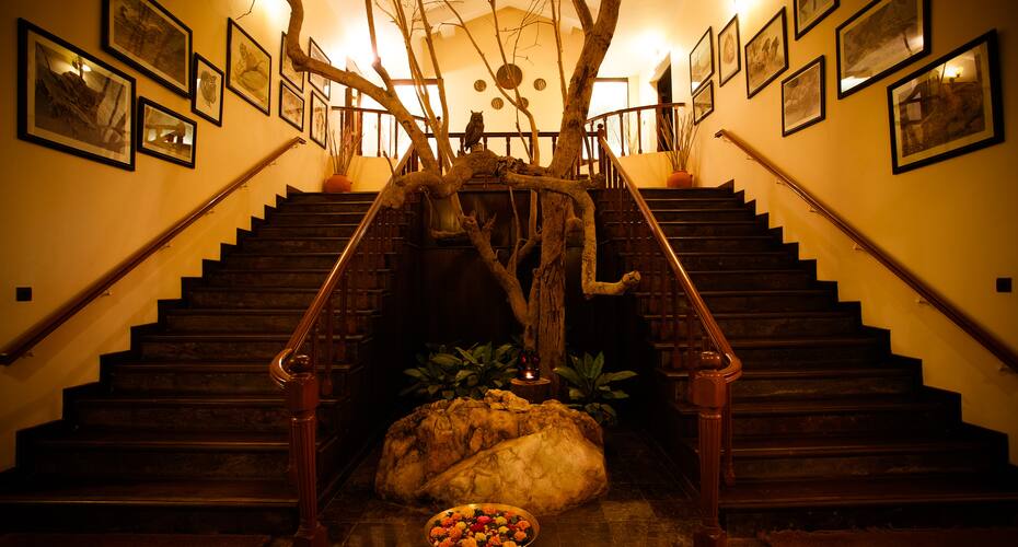 Singinawa Jungle Lodge, Kanha 5